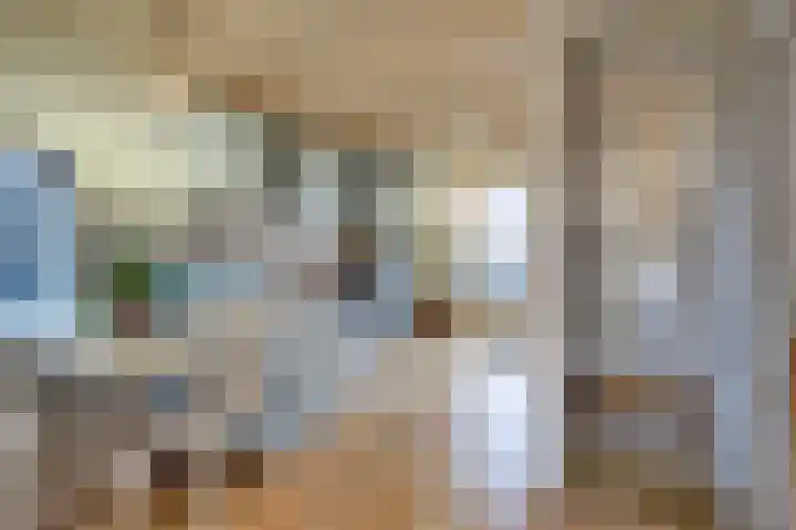 Dijk 69 Broek op Langedijk thumbnail 30
