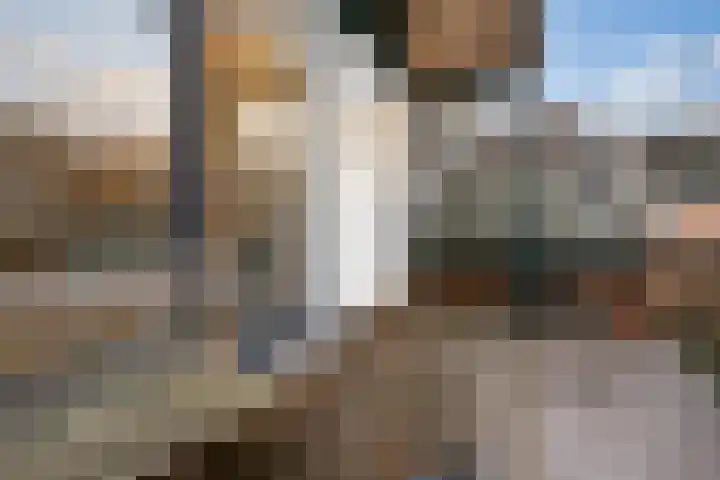 Dijk 69 Broek op Langedijk thumbnail 32