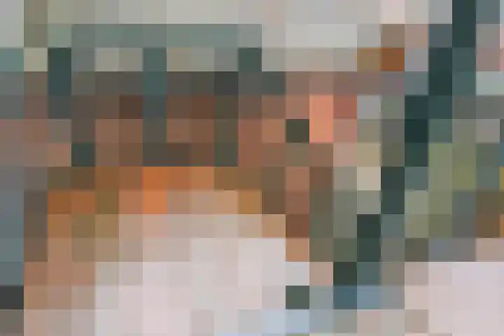 Dijk 69 Broek op Langedijk thumbnail 33