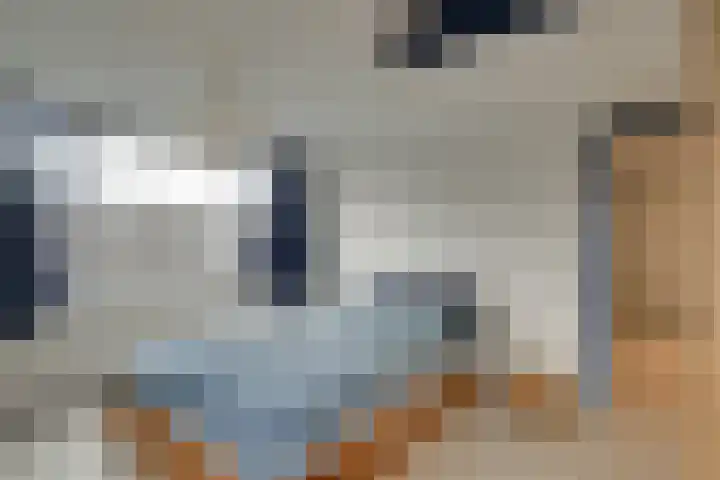 Dijk 69 Broek op Langedijk thumbnail 37