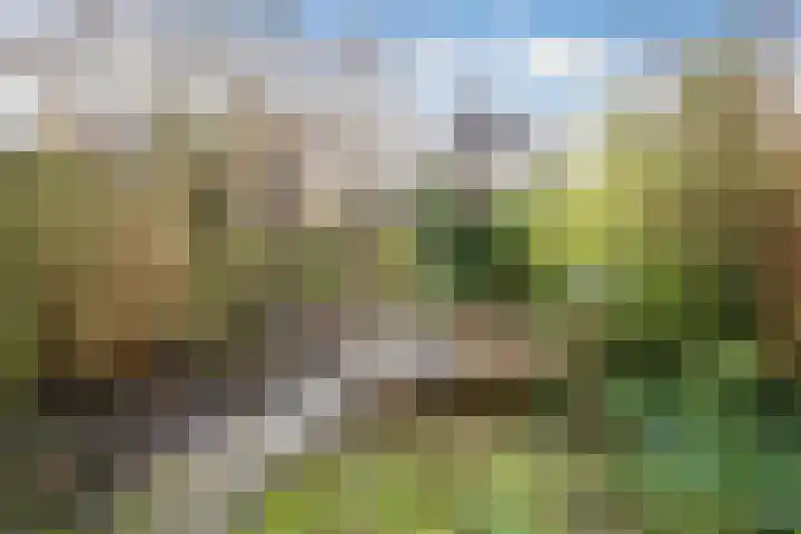 Dijk 69 Broek op Langedijk thumbnail 4