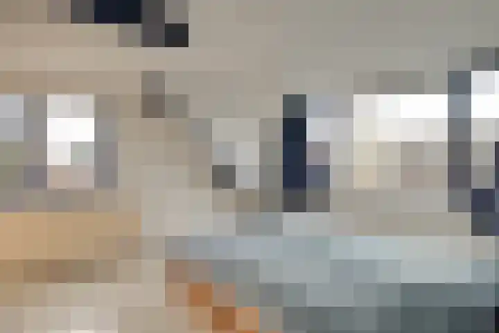 Dijk 69 Broek op Langedijk thumbnail 40