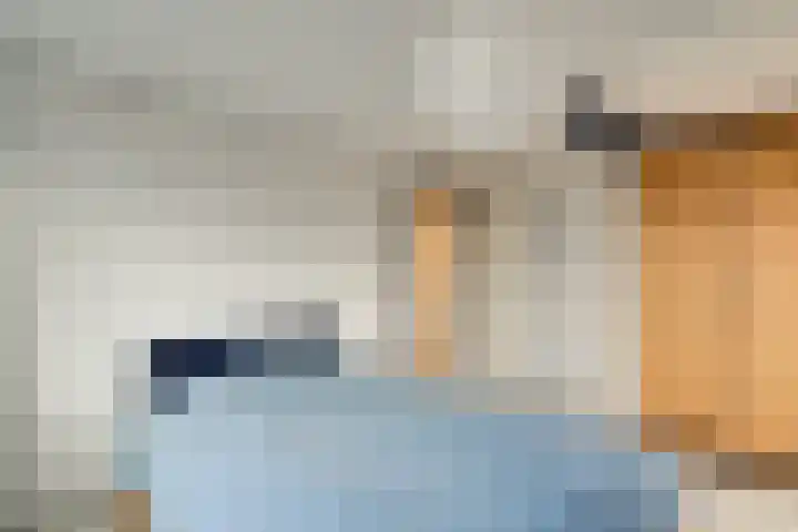 Dijk 69 Broek op Langedijk thumbnail 42