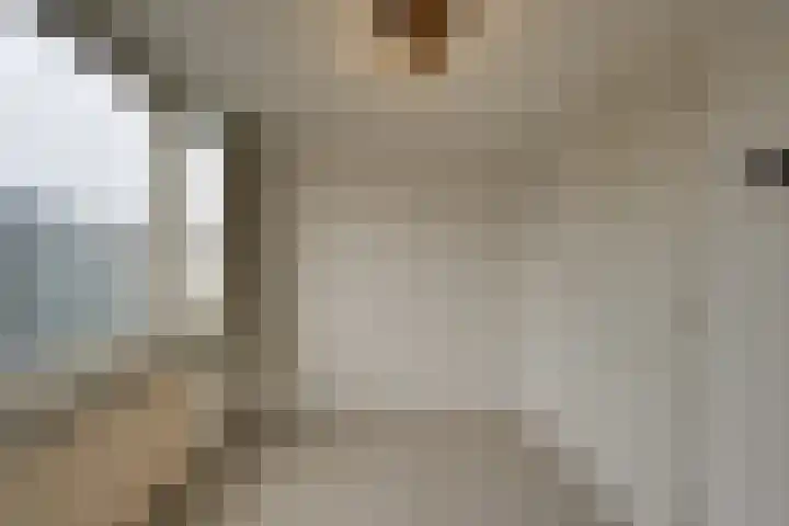 Dijk 69 Broek op Langedijk thumbnail 45