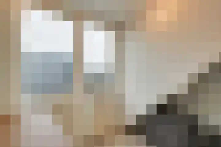 Dijk 69 Broek op Langedijk thumbnail 46