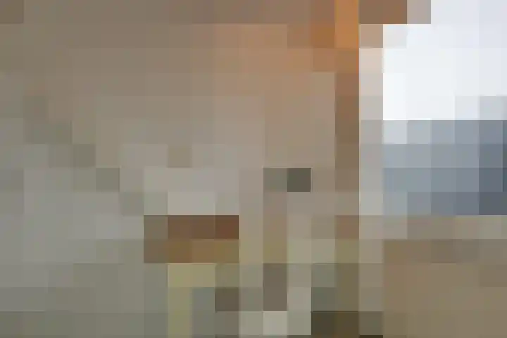 Dijk 69 Broek op Langedijk thumbnail 47
