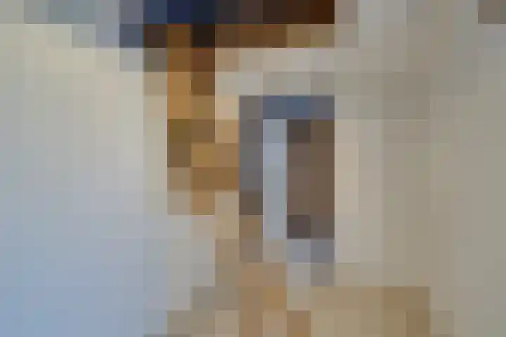Dijk 69 Broek op Langedijk thumbnail 51