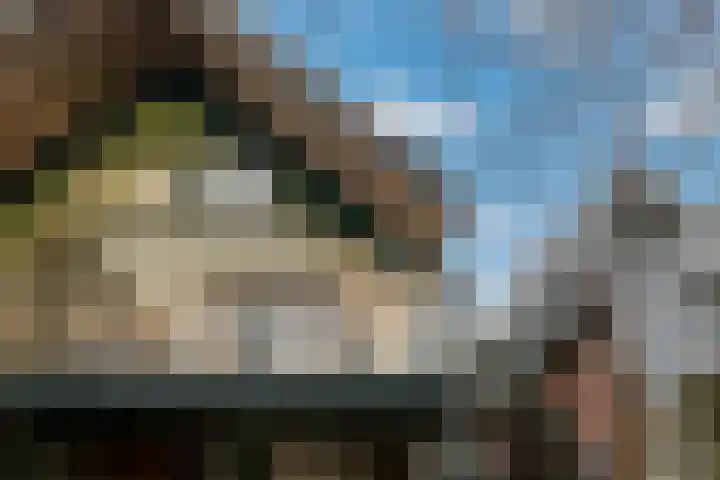 Dijk 69 Broek op Langedijk thumbnail 56