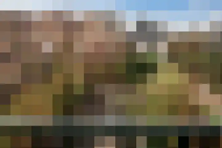 Dijk 69 Broek op Langedijk thumbnail 57