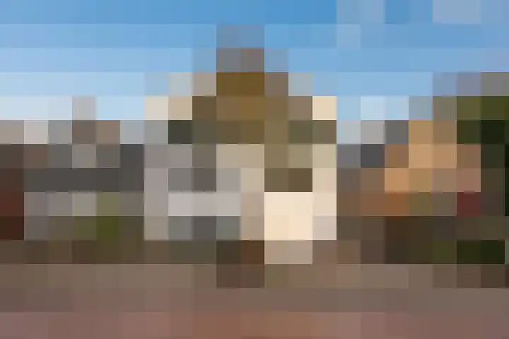 Dijk 69 Broek op Langedijk thumbnail 59