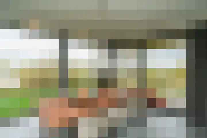Dijk 8 a Beuningen Gld thumbnail 15