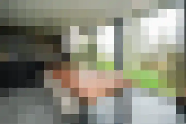 Dijk 8 a Beuningen Gld thumbnail 16