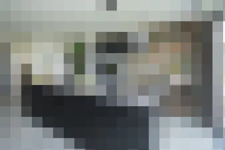Dijk 8 a Beuningen Gld thumbnail 18