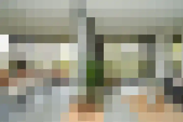 Dijk 8 a Beuningen Gld thumbnail 19