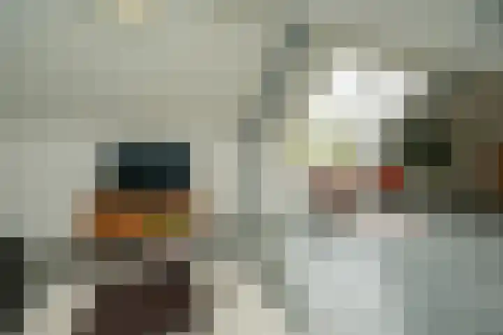 Dijk 8 a Beuningen Gld thumbnail 30