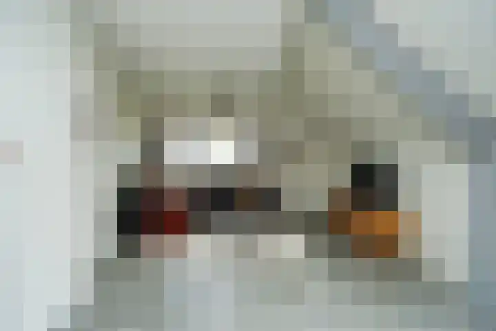 Dijk 8 a Beuningen Gld thumbnail 31