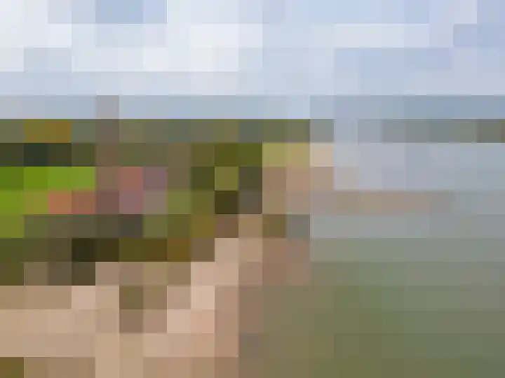 Dijk 8 a Beuningen Gld thumbnail 4