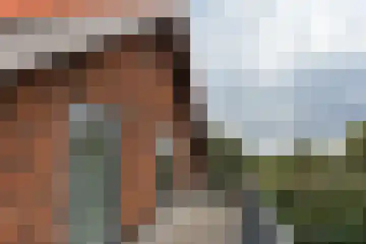 Dijk 8 a Beuningen Gld thumbnail 41