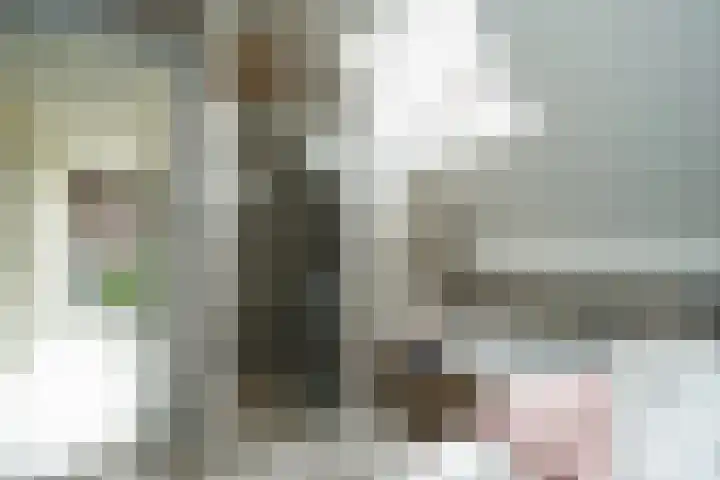Dijk 8 a Beuningen Gld thumbnail 43