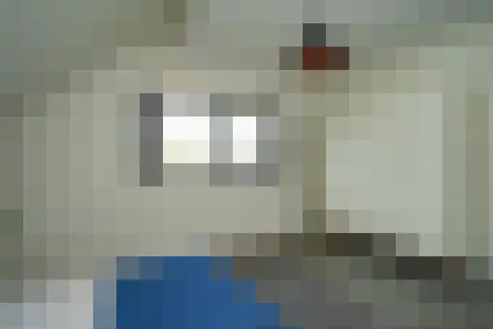 Dijk 8 a Beuningen Gld thumbnail 47
