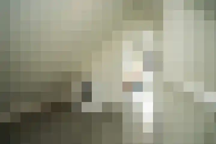 Dijk 8 a Beuningen Gld thumbnail 48