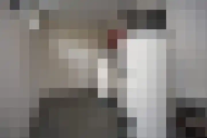 Dijk 8 a Beuningen Gld thumbnail 54