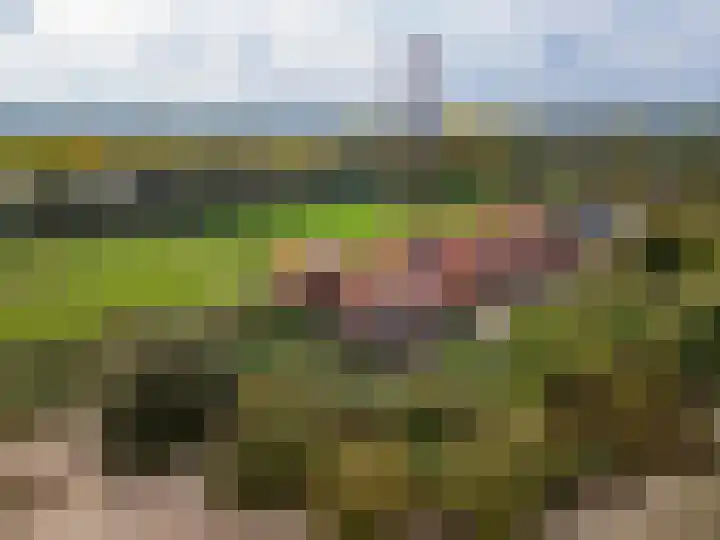 Dijk 8 a Beuningen Gld thumbnail 59