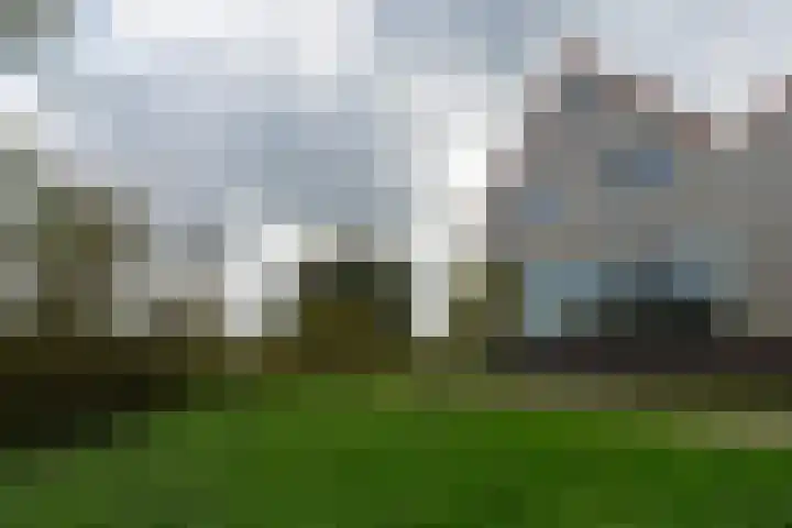 Dijk 8 a Beuningen Gld thumbnail 6