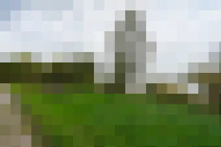 Dijk 8 a Beuningen Gld thumbnail 60
