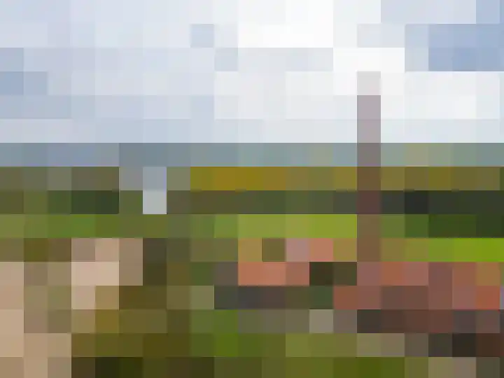 Dijk 8 a Beuningen Gld thumbnail 61