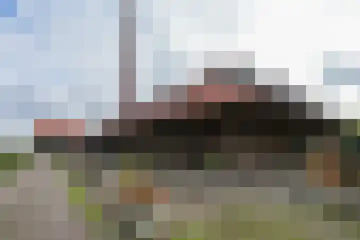 Dijk 8 a Beuningen Gld thumbnail 62