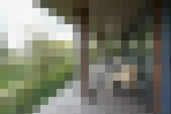 Dijk 8 a Beuningen Gld thumbnail 7