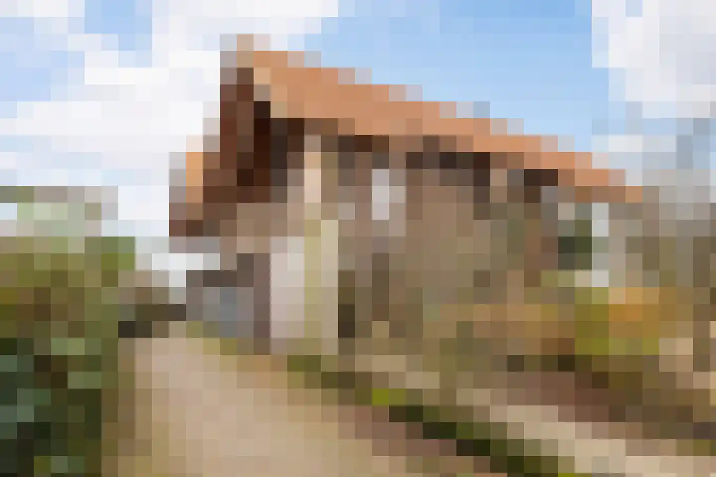 Dijk 8 c Beuningen Gld thumbnail 26