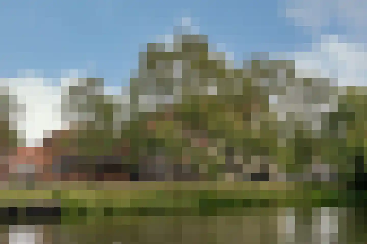 Dijk 84 Enkhuizen thumbnail 39