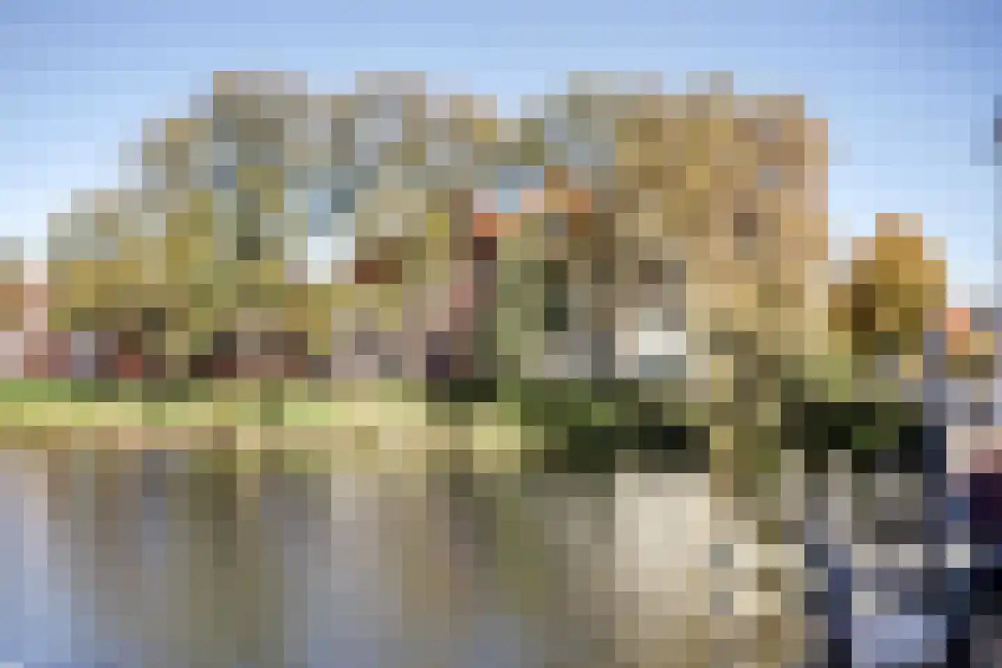 Dijk 84 Enkhuizen thumbnail 40