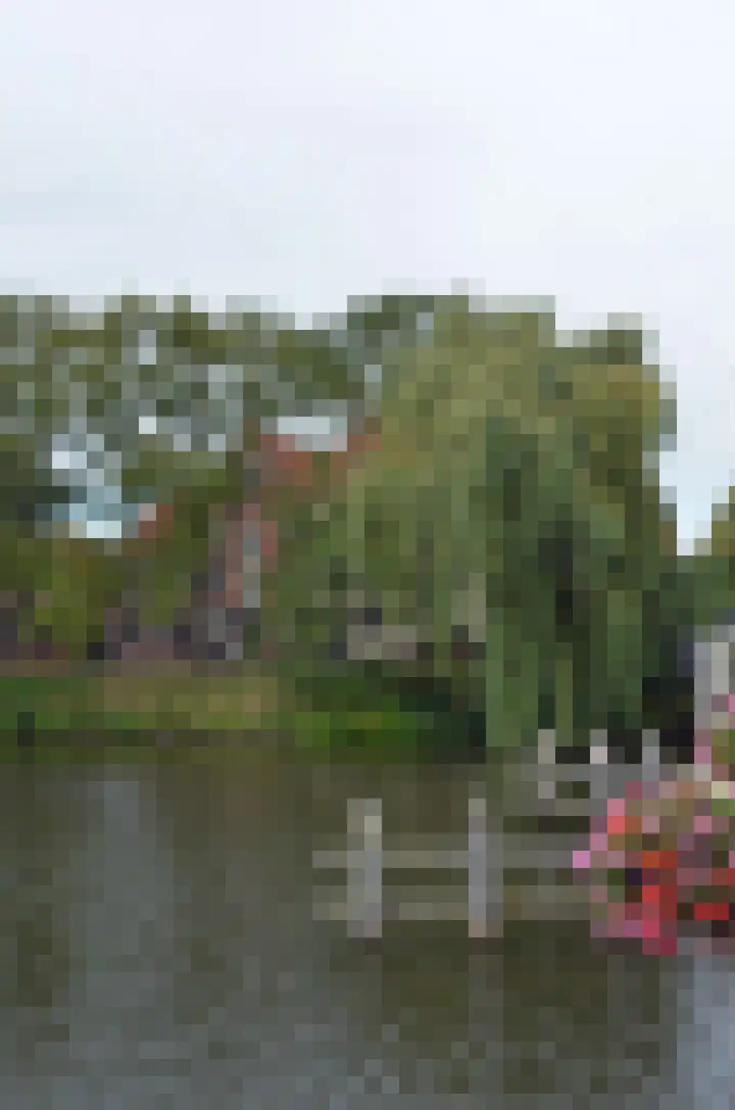 Dijk 84 Enkhuizen thumbnail 45