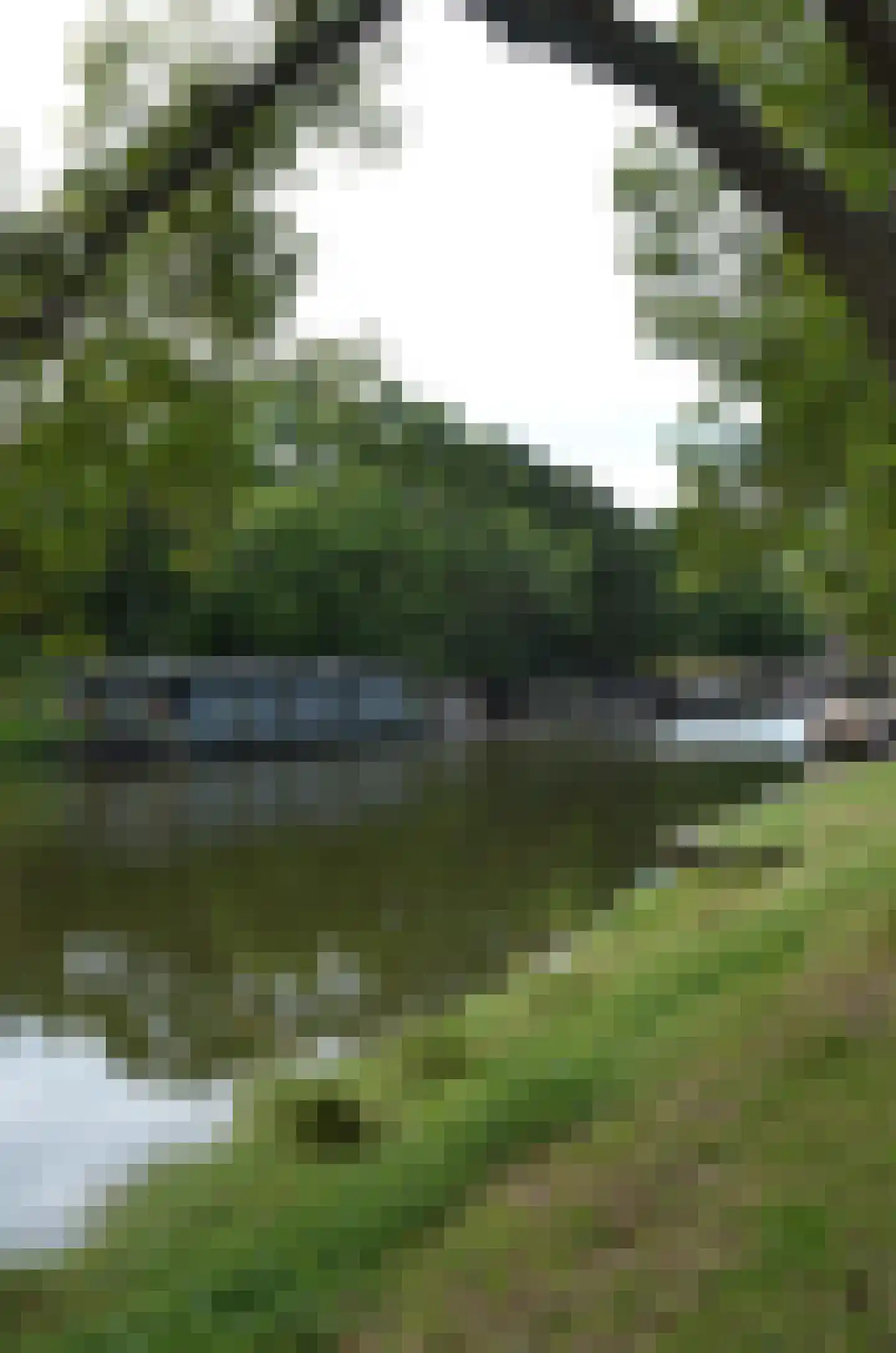 Dijk 84 Enkhuizen thumbnail 63