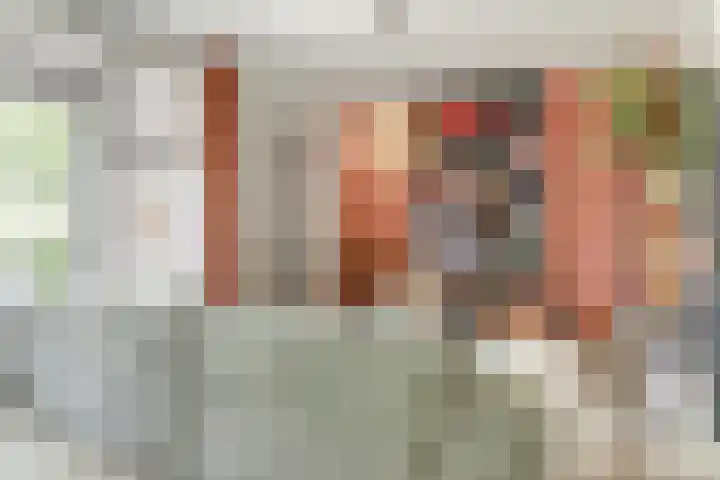 Dijk 87 Broek op Langedijk thumbnail 10