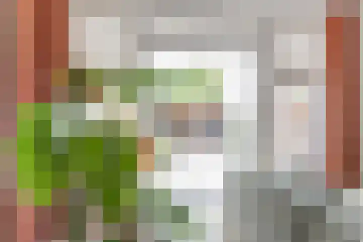 Dijk 87 Broek op Langedijk thumbnail 11