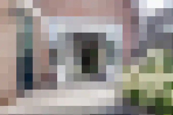 Dijk 87 Broek op Langedijk thumbnail 12