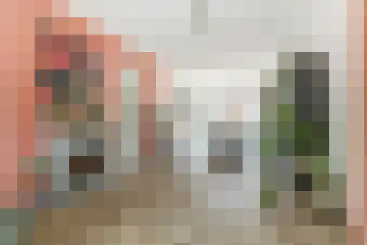 Dijk 87 Broek op Langedijk thumbnail 14