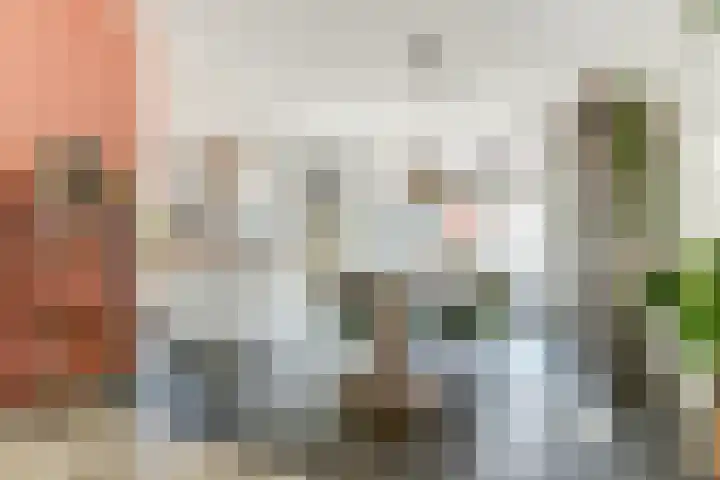 Dijk 87 Broek op Langedijk thumbnail 15