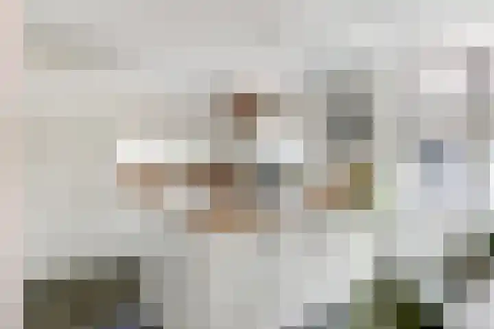 Dijk 87 Broek op Langedijk thumbnail 16