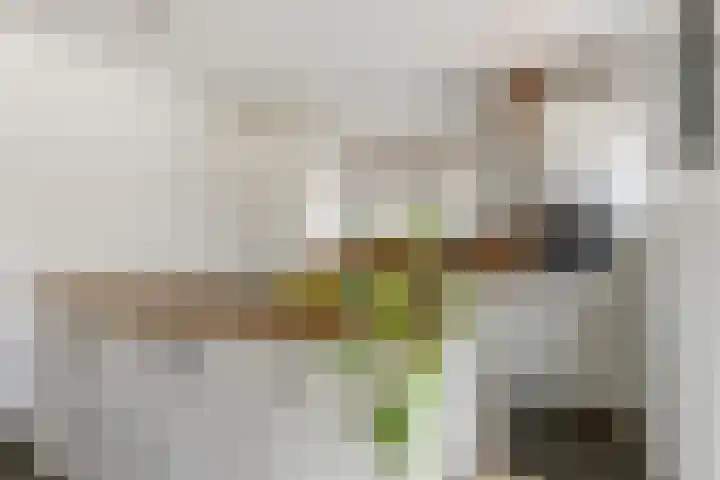 Dijk 87 Broek op Langedijk thumbnail 17