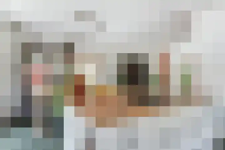 Dijk 87 Broek op Langedijk thumbnail 19