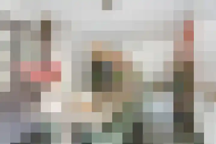 Dijk 87 Broek op Langedijk thumbnail 22