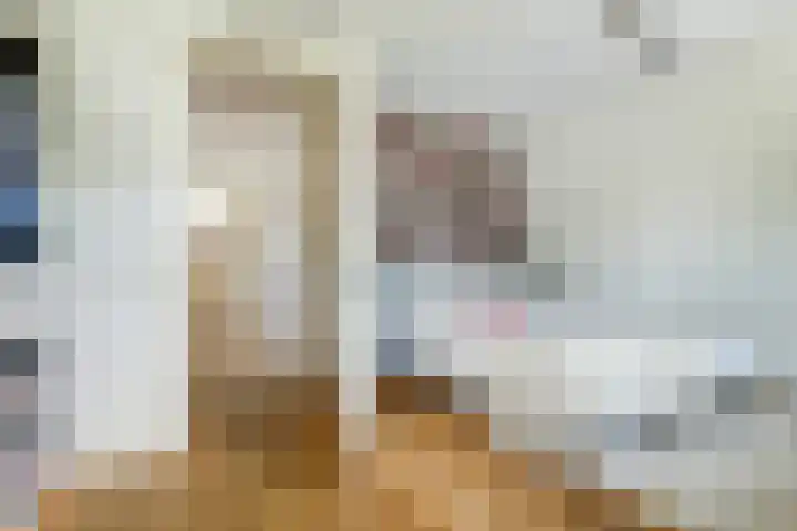 Dijk 87 Broek op Langedijk thumbnail 38