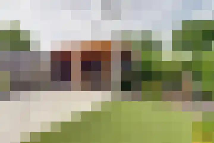 Dijk 87 Broek op Langedijk thumbnail 42