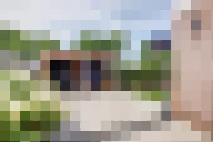 Dijk 87 Broek op Langedijk thumbnail 43