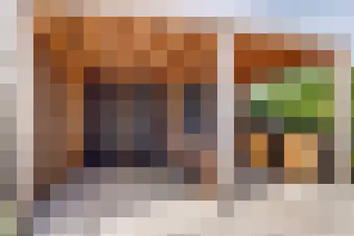 Dijk 87 Broek op Langedijk thumbnail 44
